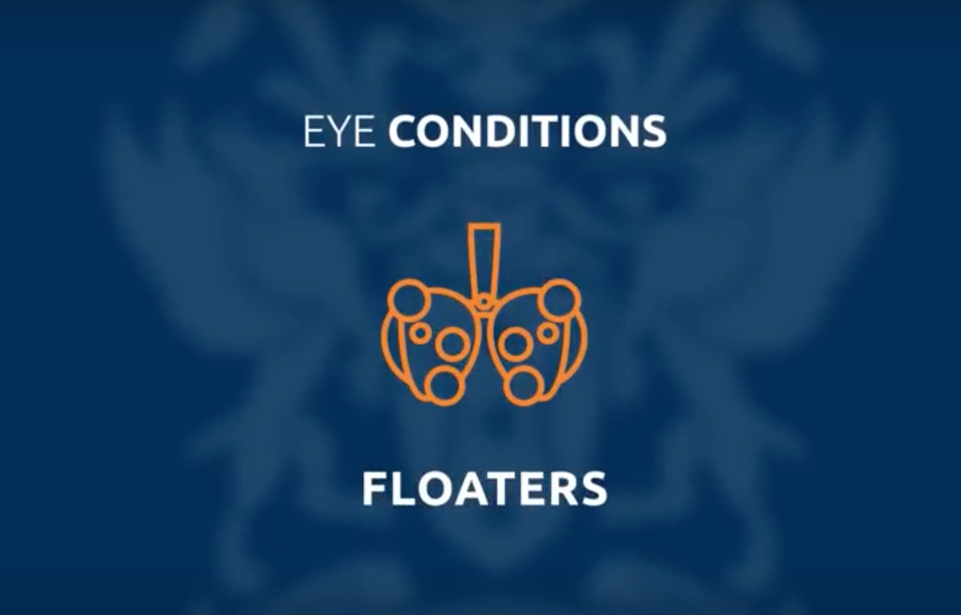 Blink Opticians Video Series: How might floaters effect my vision?