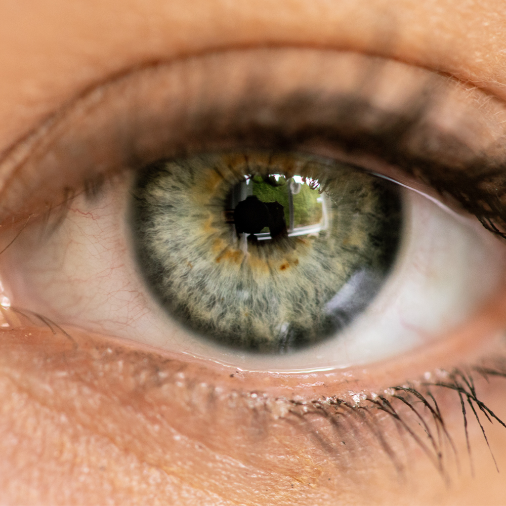 Opticians Wellingborough